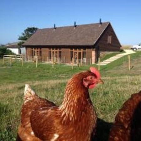 Surf Shack - Impeccable 1-Bed Cottage In Shorwell Exterior photo