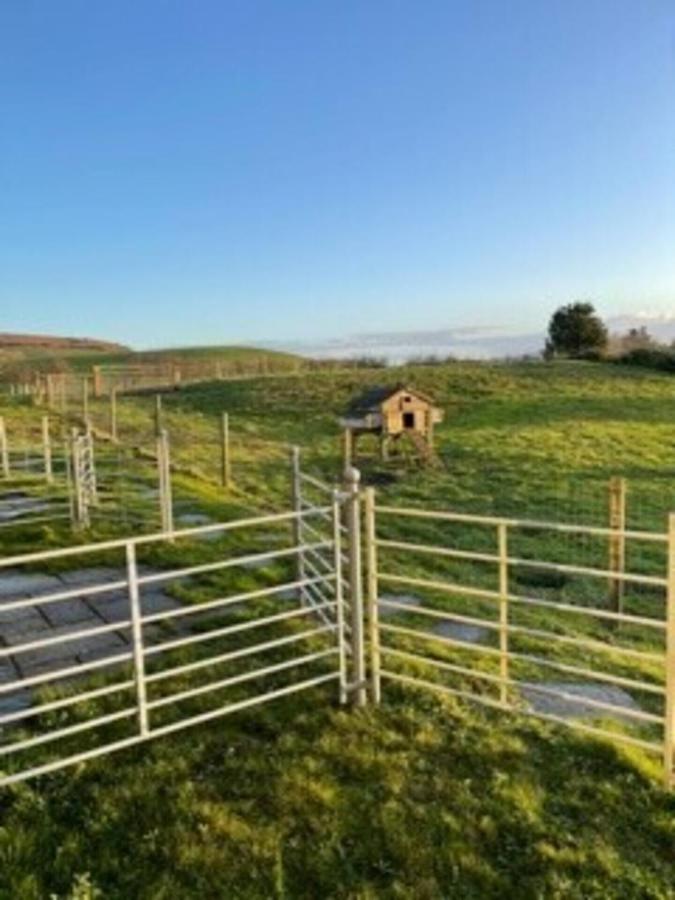 Surf Shack - Impeccable 1-Bed Cottage In Shorwell Exterior photo